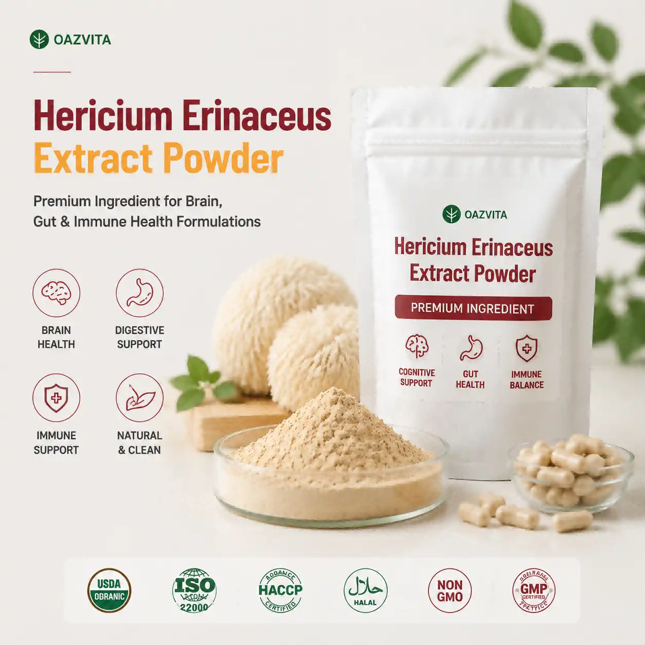 6 Health Benefits of Hericium Erinaceus Extract Powder